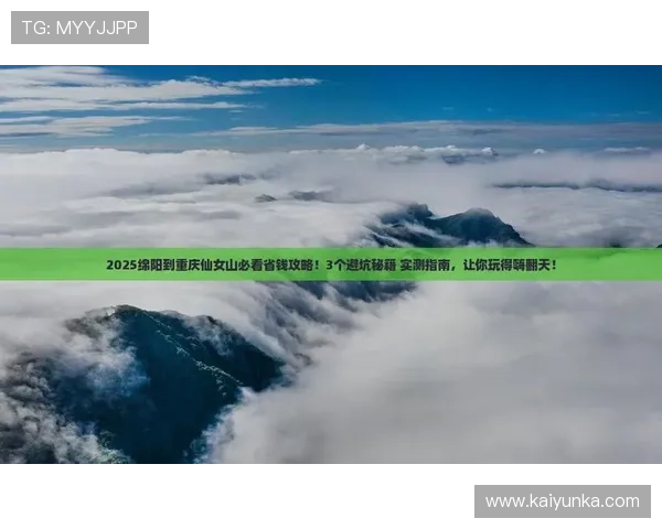 球类应用平台对比评测避坑指南防骗推荐